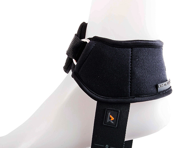 Ankle Harness