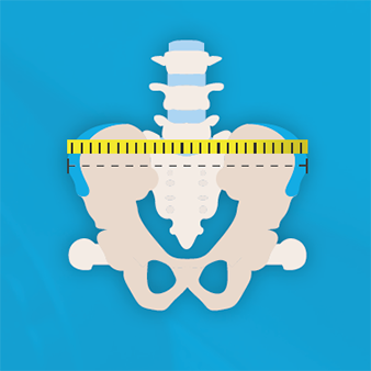 Pelvic Harness Measuring Diagram